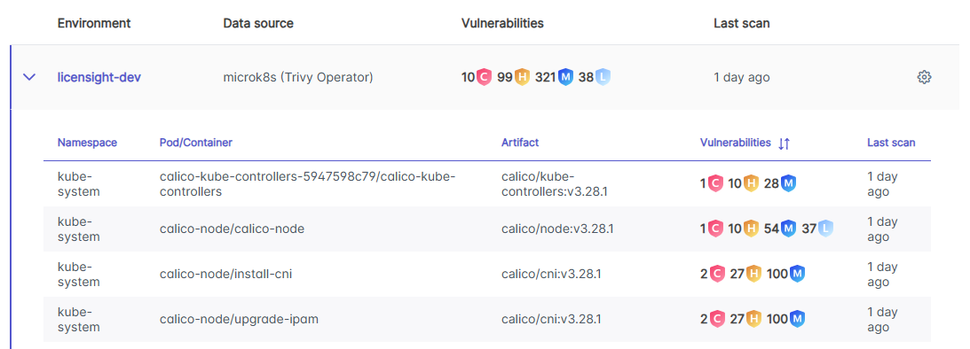 runtime environment reports